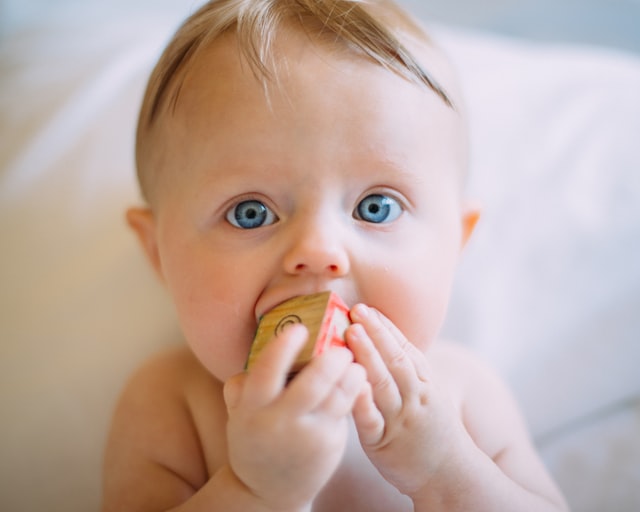 bayi memasukkan mainan ke mulut